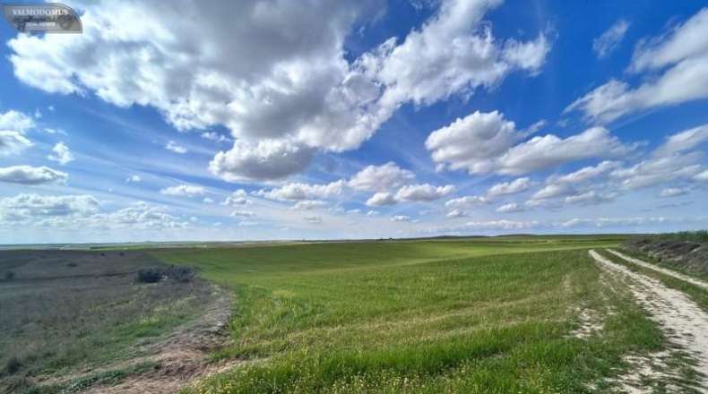 Toledo - El Viso de San Juan - 47410m2
