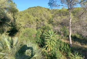 Foto 10