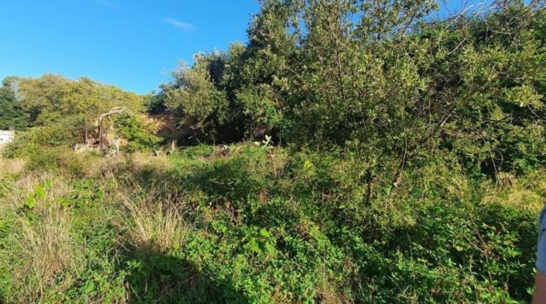 Барселона - Santa Eulàlia de Ronçana - 574m2