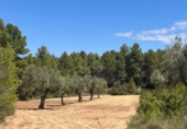 Xalet independent amb terreny en venda a la España, Queretes, ref.: TR301795 foto