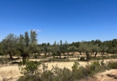 Xalet independent amb terreny en venda a la España, Queretes, ref.: TR301795 foto