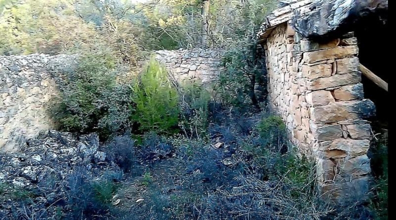 Теруэль - Cretas - 154702m2