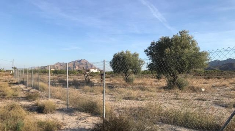Alicante - Benferri - 6886m2