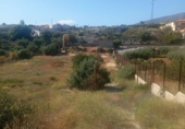 Non-developable land for sale on España, Motril, ref: TR131061 photo