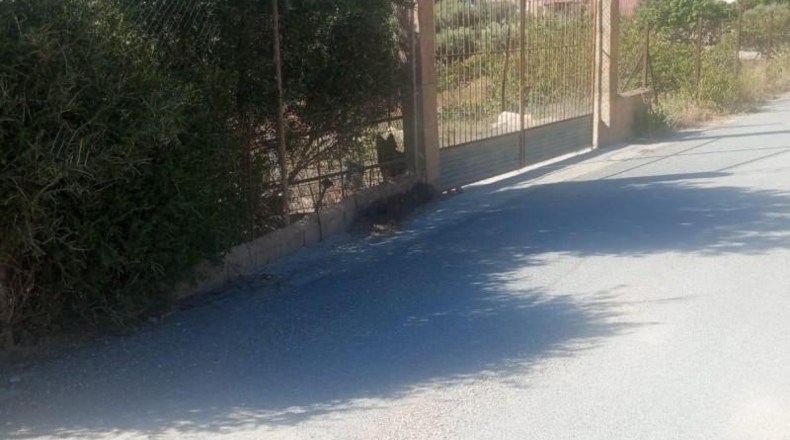 Granada - Motril - 2700m2
