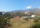 Non-developable land for sale on España, Motril, ref: TR131061 photo