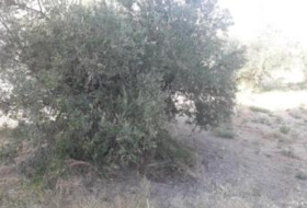 Moratalla 130&nbsp;m² 