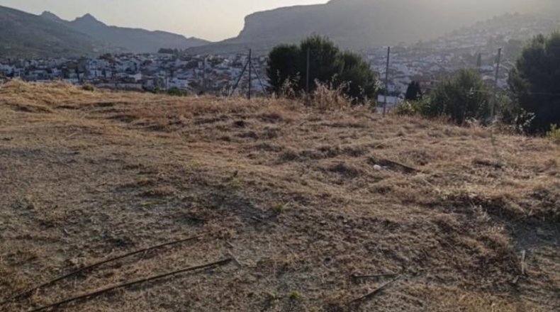 Хаэн - Torredonjimeno - 400m2