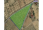 Non-developable land for sale on España, Sax, ref: TR119055 photo