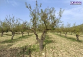 Non-developable land for sale on España, Sax, ref: TR119055 photo