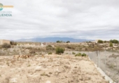 Casa de camp amb terreny en venda a la España, Totana, ref.: TR299786 foto