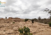 Casa de camp amb terreny en venda a la España, Totana, ref.: TR299786 foto