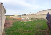 Parcela urbanizable en venta en la España, Cabra, ref: TR132279 foto