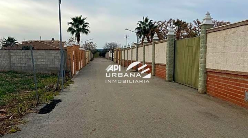 Cordova - Cabra - 950m2