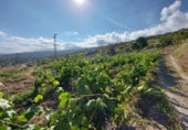Country house with land for sale on España, Válor, ref: TR298810 photo