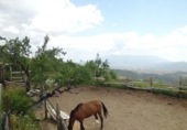 Country house with land for sale on España, Válor, ref: TR298810 photo
