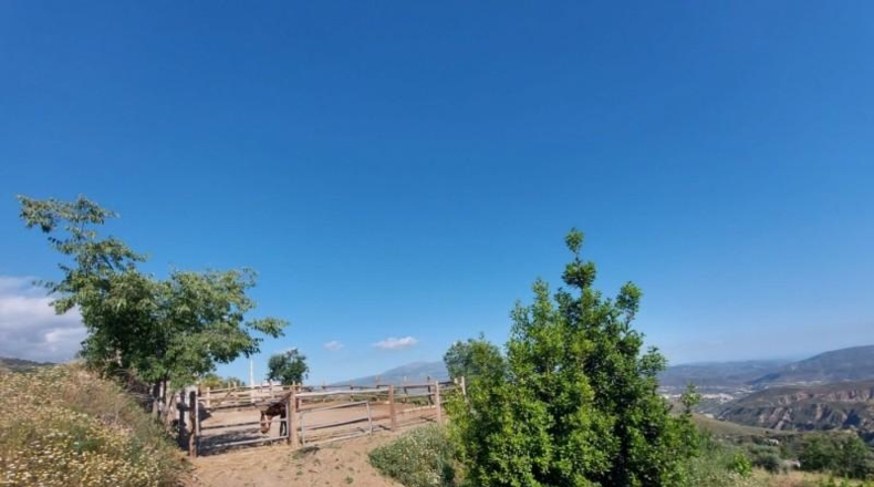 Granada - Válor - 6000m2