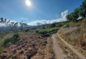 Country house with land for sale on España, Válor, ref: TR298810 photo