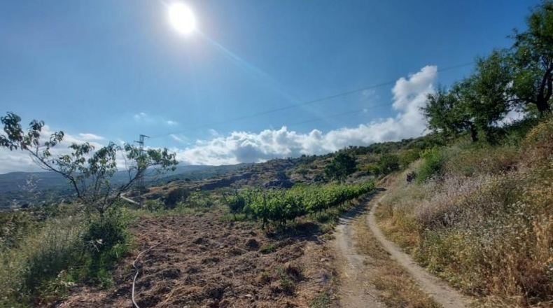 Granada - Válor - 6000m2
