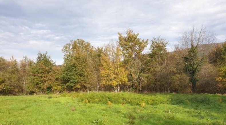 Orense - Maceda - 1500m2