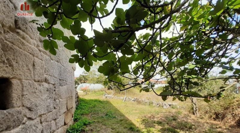 Orense - Fontes - 388m2