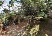 Casa de poble en venda a la España, Nogueira, ref.: TR297777 foto