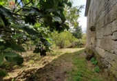 Casa de poble en venda a la España, Nogueira, ref.: TR297777 foto