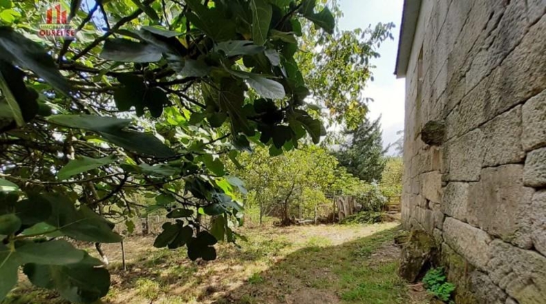 Orense - Fontes - 388m2