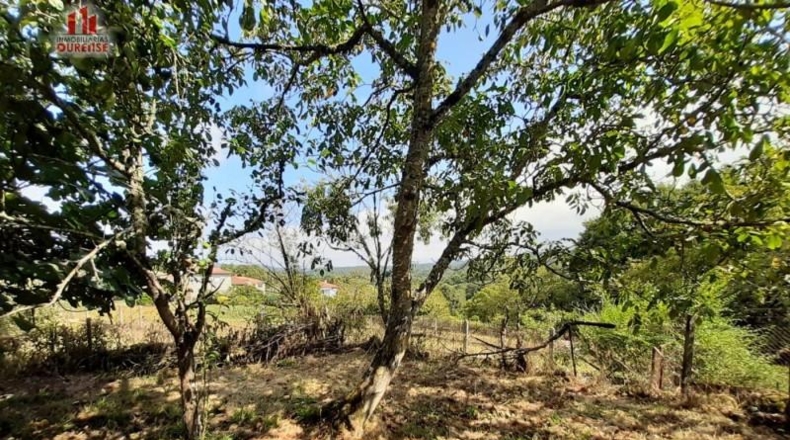 Orense - Fontes - 388m2