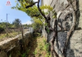 Casa de poble en venda a la España, Nogueira, ref.: TR297777 foto