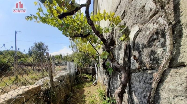 Orense - Fontes - 388m2