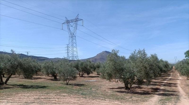 Гранада - Albolote - 4357m2