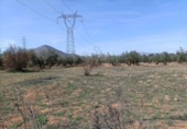 Detached villa with land for sale on España, Albolote, ref: TR296917 photo