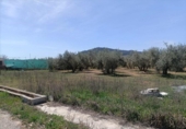 Detached villa with land for sale on España, Albolote, ref: TR296917 photo