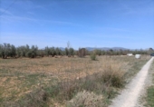 Detached villa with land for sale on España, Albolote, ref: TR296917 photo