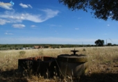 Terreny no urbanitzable en venda a la España, Badajoz, ref.: TR318325 foto