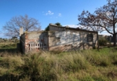 Xalet independent amb terreny en venda a la España, Elx, ref.: TR302850 foto