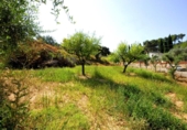 Casa amb terreny en venda a la España, Abrera, ref.: TR317819 foto