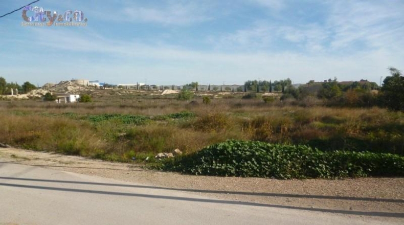 Murcia - Molina de Segura - 2451m2