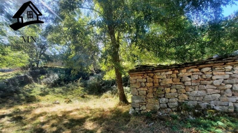 Burgos - Espinosa de los Monteros - 11843m2