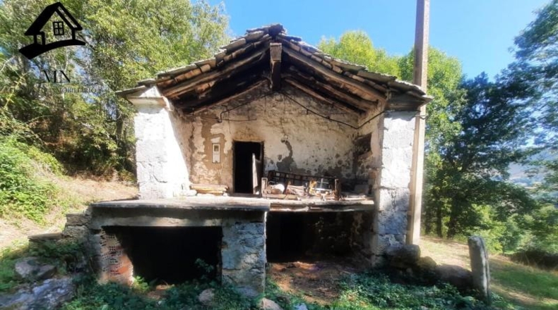 Burgos - Espinosa de los Monteros - 11843m2