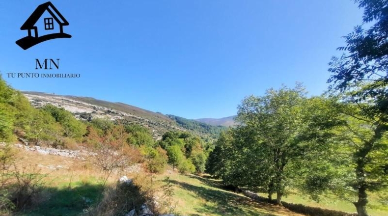 Burgos - Espinosa de los Monteros - 11843m2