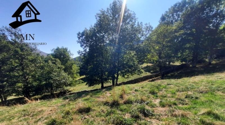 Burgos - Espinosa de los Monteros - 11843m2