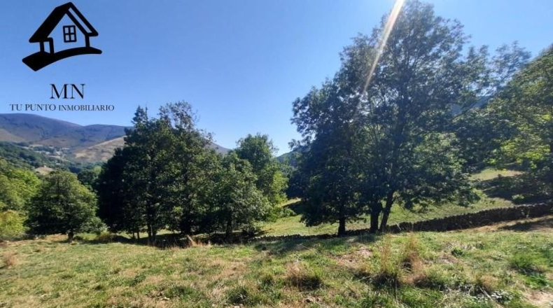 Burgos - Espinosa de los Monteros - 11843m2