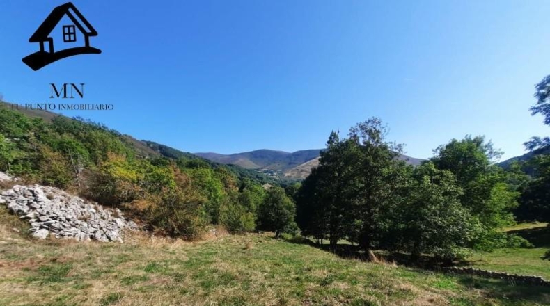 Burgos - Espinosa de los Monteros - 11843m2