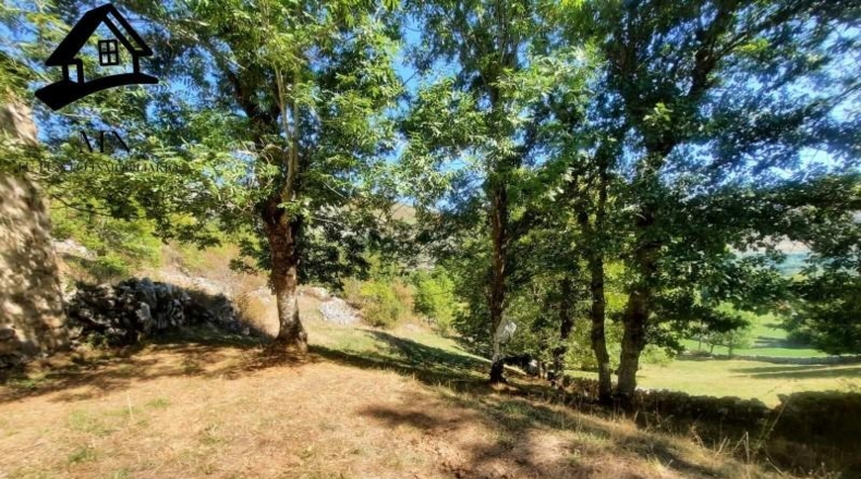 Burgos - Espinosa de los Monteros - 11843m2