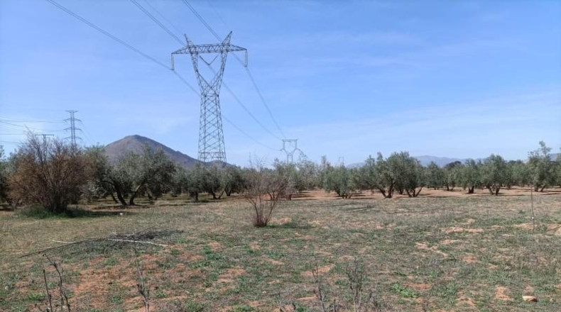 Granada - Albolote - 4357m2