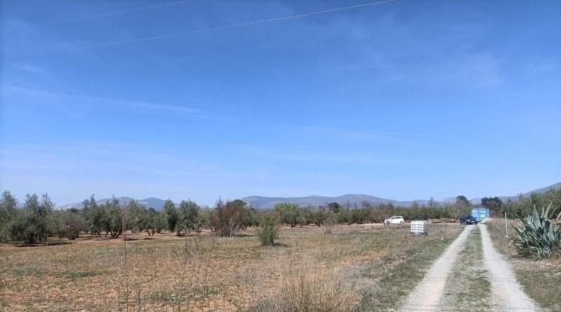Granada - Albolote - 4357m2