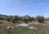 Xalet independent amb terreny en venda a la España, Albolote, ref.: TR277497 foto
