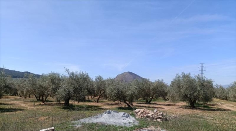 Granada - Albolote - 4357m2